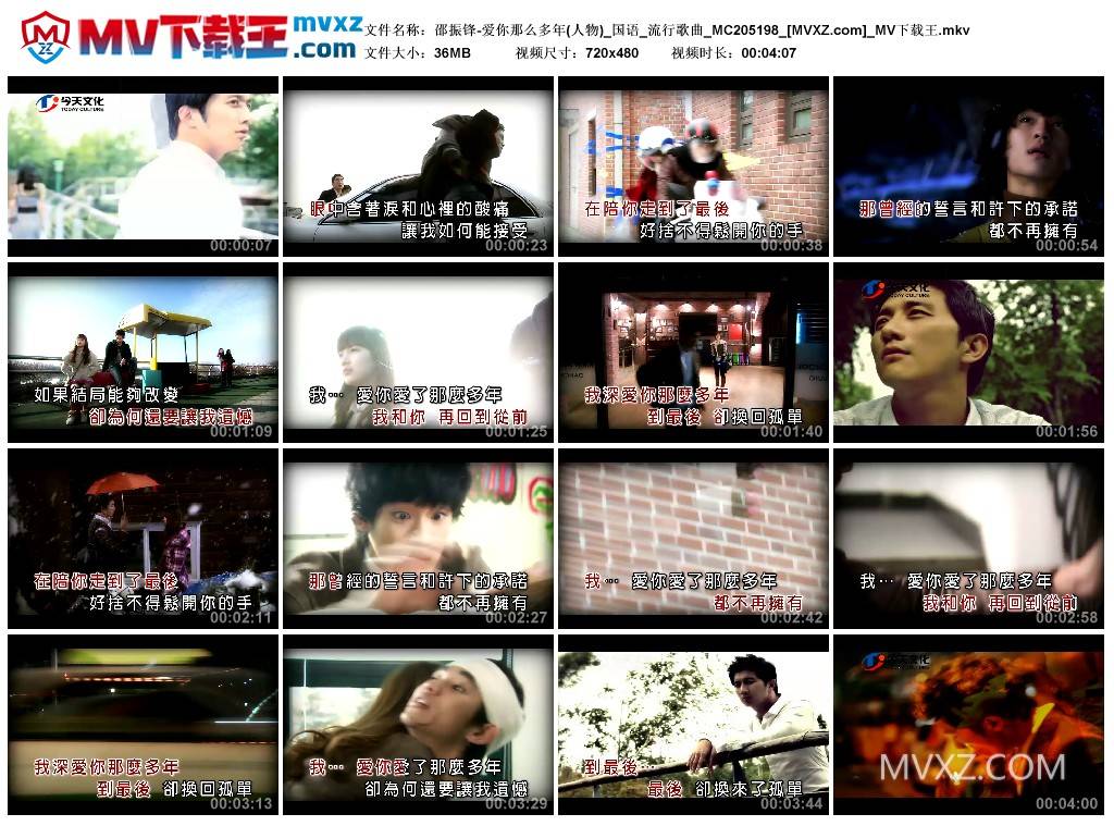 邵振锋-爱你那么多年(人物)_国语_流行歌曲_MC205198